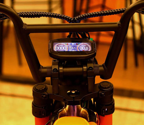 Electric Bike (Ebike) PAS vs. Throttle Control: Understanding the Differences & Australian Laws - Cooly Bikes