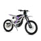 79Bike Falcon Pro