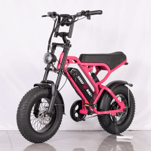 Cooly Kids Electric Bike