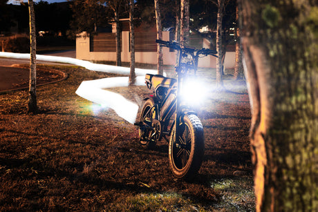 Australia's Most Epic Cruiser Collection - Cooly Bikes