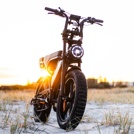 Electric Bikes