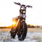 All Electric Bikes